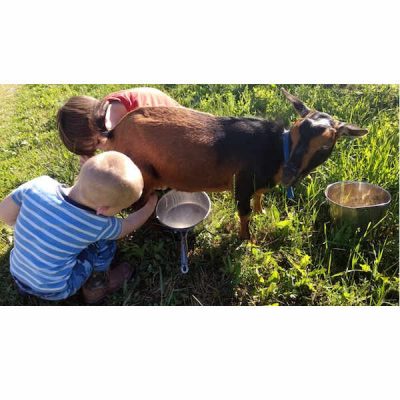 moon-kids-milking-2017-square