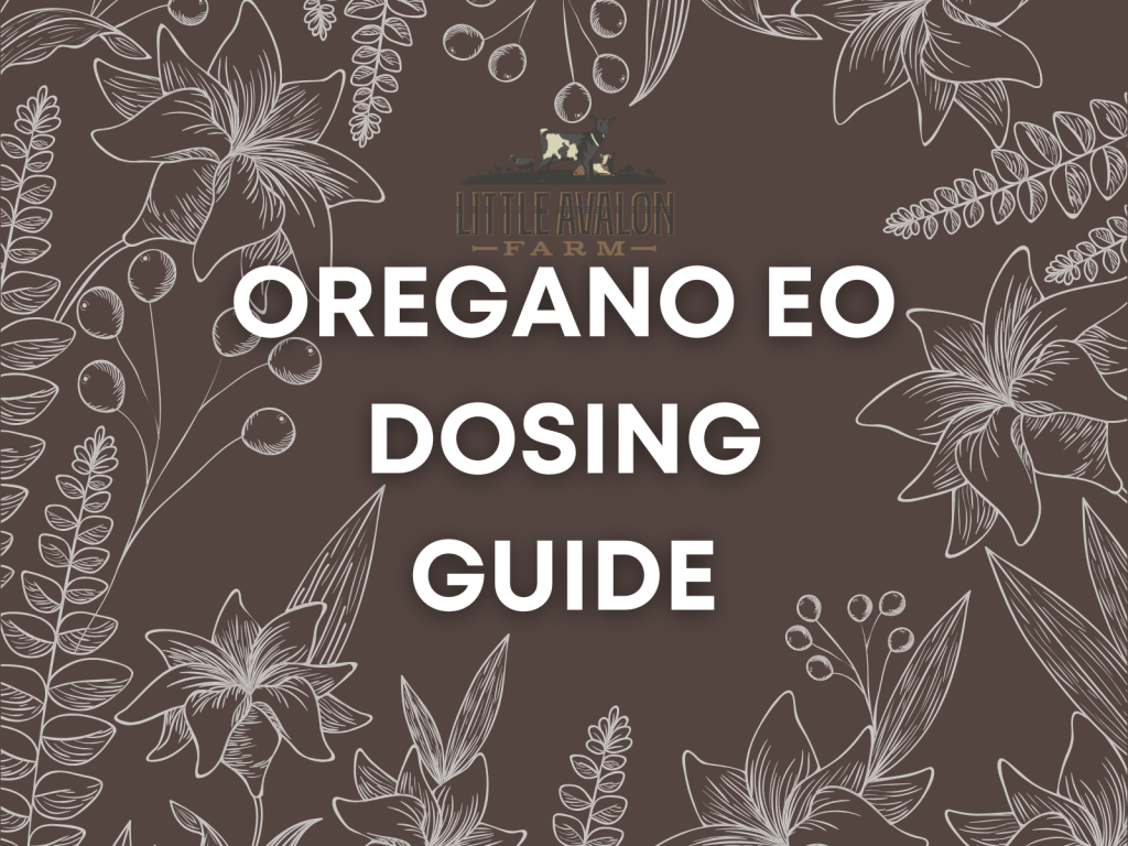 Oregano Essential Oil for Goats: Nature’s Broad-Spectrum Protector