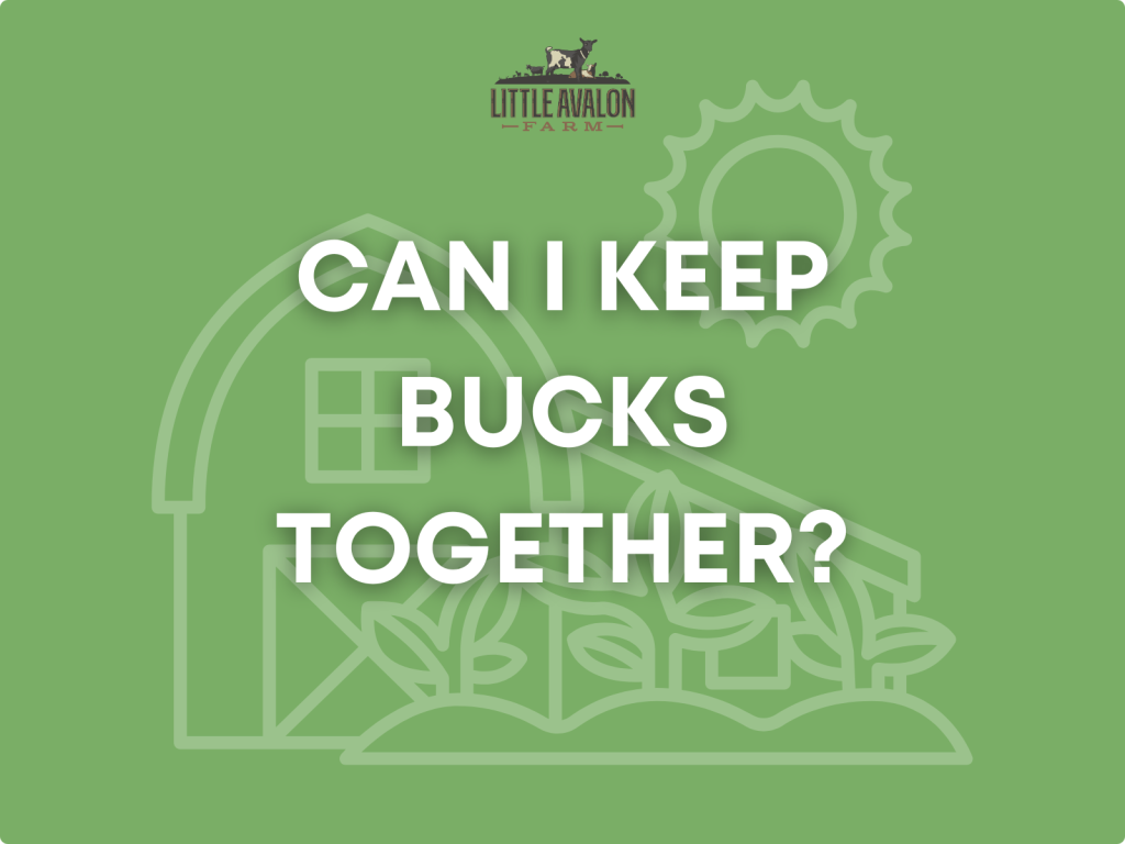 Can I Keep Bucks Together?